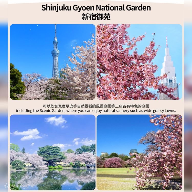 🌳 참새의 여관 녹지공원 (스즈메노오야도 료쿠치코엔) 이미지 1